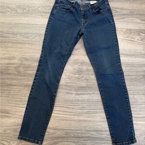 Banana Republic Dark Blue Women's Skinny Jeans
